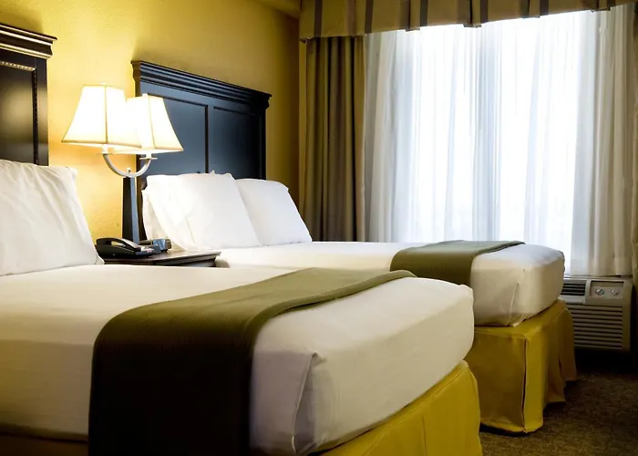 Holiday Inn Express Hotel & Suites Dallas Fort Worth Airport South By Ihg Irving